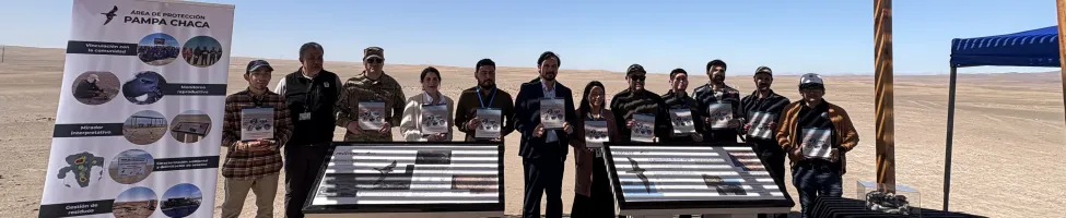 Redinter y la Red de Observadores de Aves y Vida Silvestre inauguran un nuevo área de protección para la golondrina negra en Chile Redinter y la Red de Observadores de Aves y Vida Silvestre inauguran un nuevo área de protección para la golondrina negra en Chile