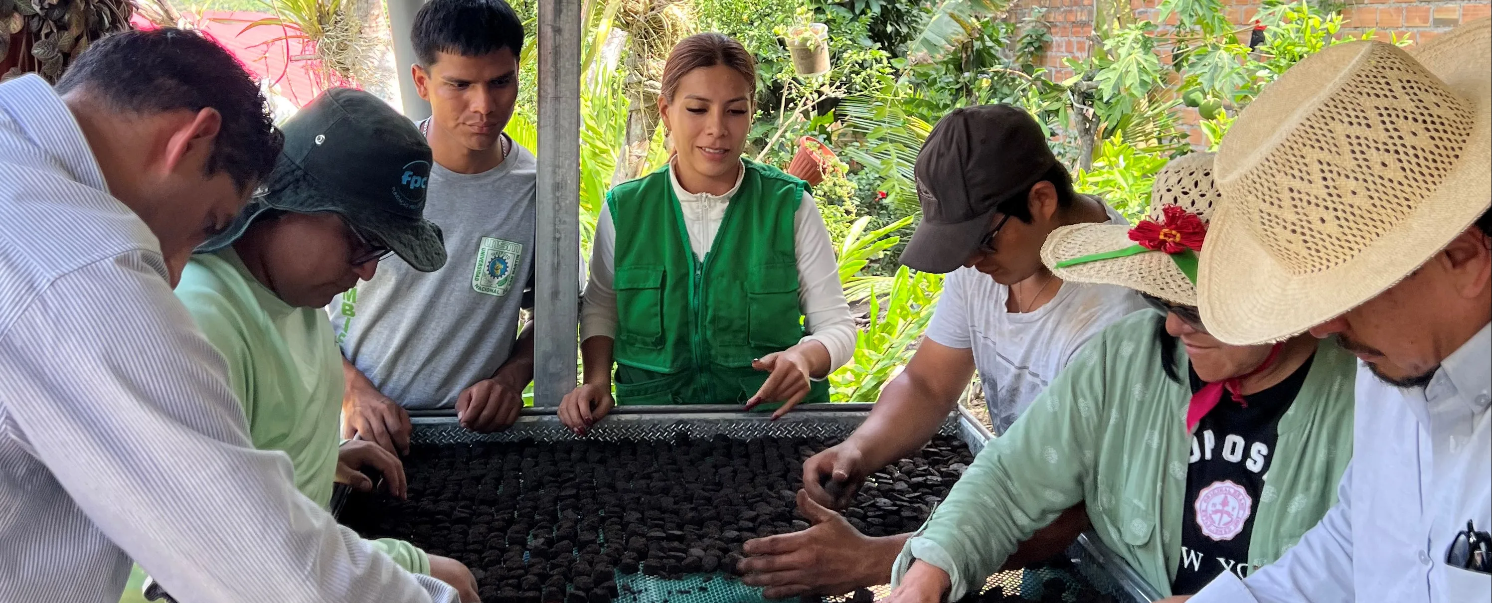 Redeia impulsa la restauración de ecosistemas degradados en Perú con la producción y dispersión de 28.000 semillas autóctonas Redeia impulsa la restauración de ecosistemas degradados en Perú con la producción y dispersión de 28.000 semillas autóctonas