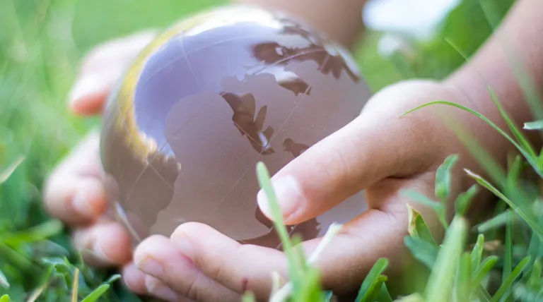 Commitment to sustainability in the supply chain Commitment to sustainability in the supply chain
