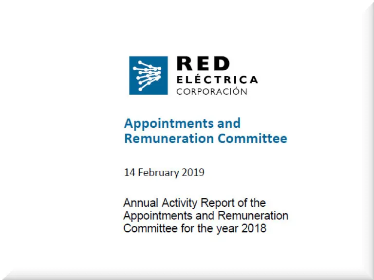 Appointments and Remuneration Committee 2018 Go to the report
