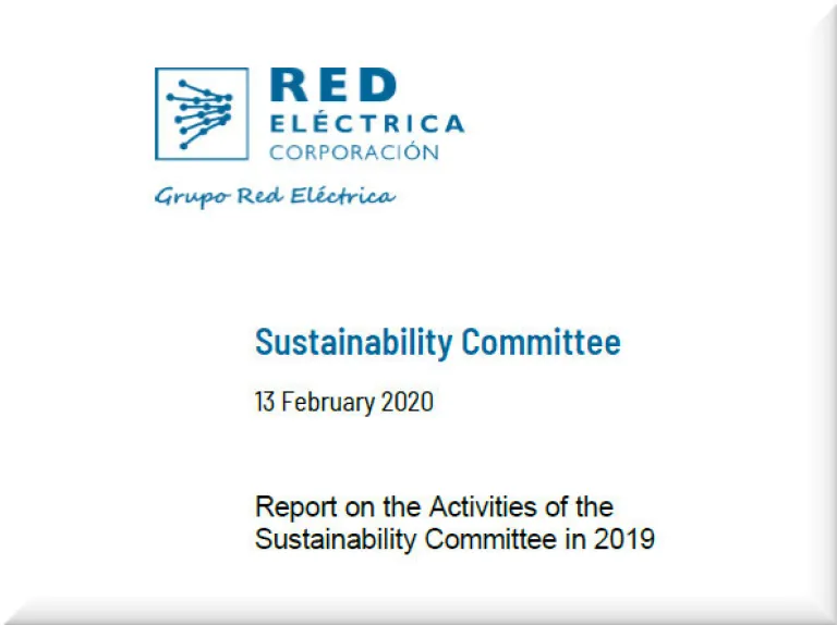 Report on the Activities of the Sustainability Committee in 2019 Go to the report